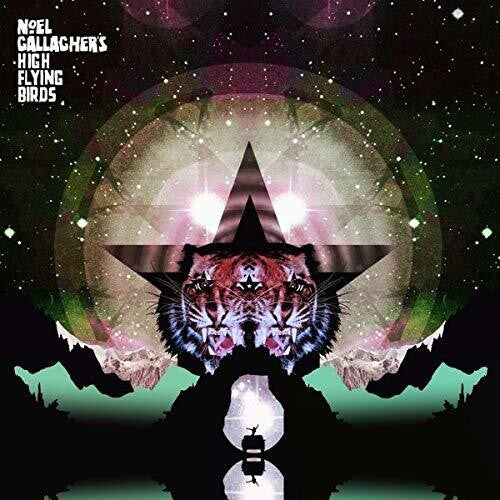 GALLAGHER,NOEL ( HIGH FLYING BIRDS ) - BLACK STAR DANCING - RECORD
