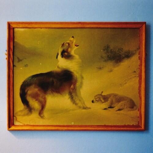 EXPLOSIONS IN THE SKY - EXPLOSIONS IN THE SKY 'THE RESCUE' (ANNIV ED.) - RECORD