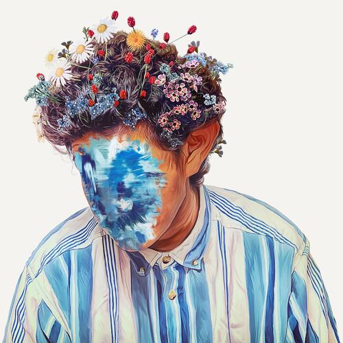 JOHNSON,HOBO - FALL OF HOBO JOHNSON - RECORD