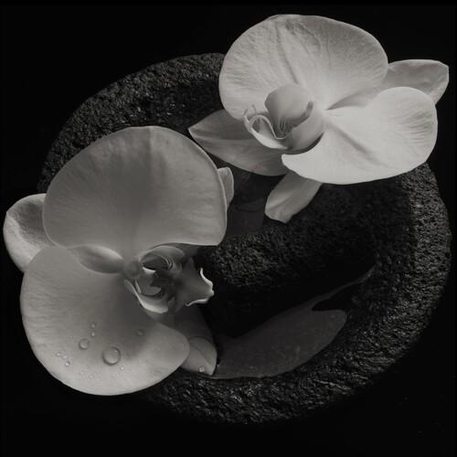 PATTON,MIKE / VANNIER,JEAN-CLAUDE - CORPSE FLOWER - RECORD