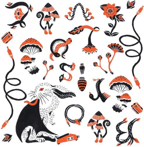 BORIS - LOVE & EVOL - RECORD