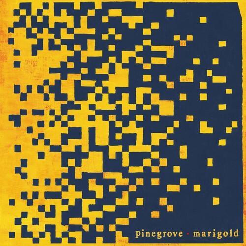 PINEGROVE - MARIGOLD - RECORD