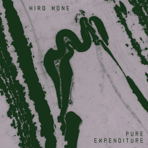 HIRO KONE - PURE EXPENDITURE - RECORD