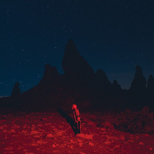 BRIDGERS,PHOEBE - PUNISHER - RECORD