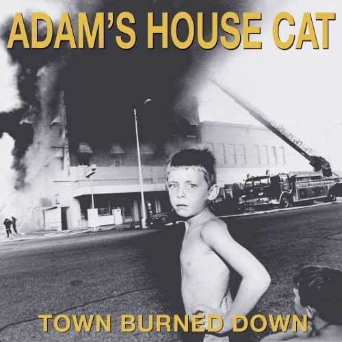 ADAM'S HOUSE CAT - TOWN BURNED DOWN - RECORD