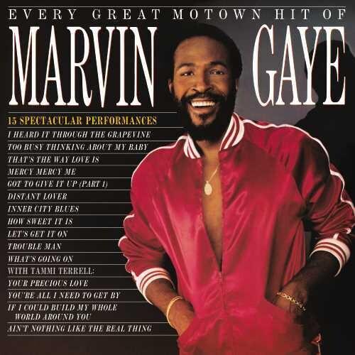 GAYE,MARVIN - EVERY GREAT MOTOWN HIT OF MARVIN GAYE: 15 SPECTACU - RECORD