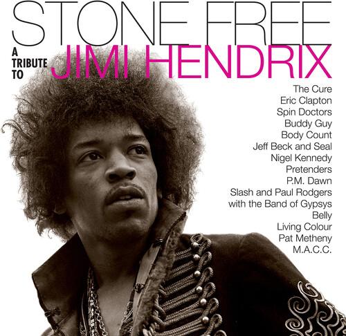 HENDRIX,JIMMY TRIBUTE - STONE FREE: JIMI HENDRIX TRIBUTE - RECORD