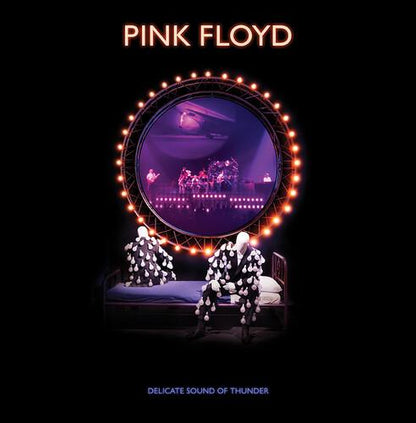PINK FLOYD - DELICATE SOUND OF THUNDER - RECORD