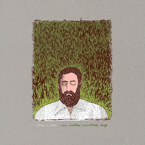 IRON & WINE - OUR ENDLESS NUMBERED DAYS - RECORD