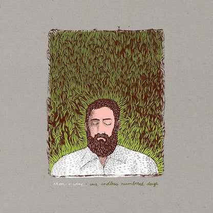 IRON & WINE - OUR ENDLESS NUMBERED DAYS - RECORD