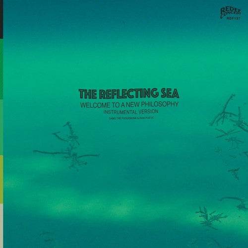 DAMU THE FUDGEMUNK & RAW POETIC - INSTRUMENTALS FROM THE REFLECTING SEA - RECORD