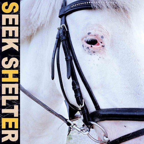 ICEAGE - SEEK SHELTER - RECORD