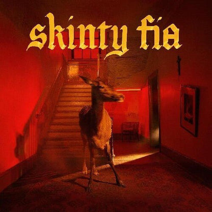 FONTAINES D.C. - SKINTY FIA - RECORD