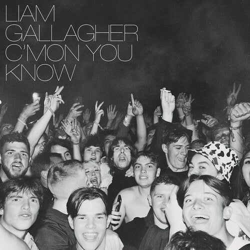 GALLAGHER,LIAM - C'MON YOU KNOW - RECORD