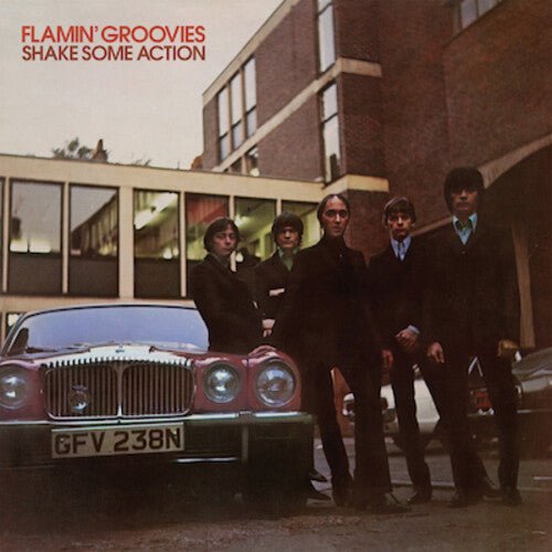 FLAMIN' GROOVIES - SHAKE SOME ACTION - RECORD