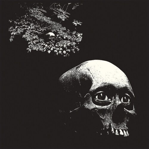 OSEES - FOUL FORM - RECORD