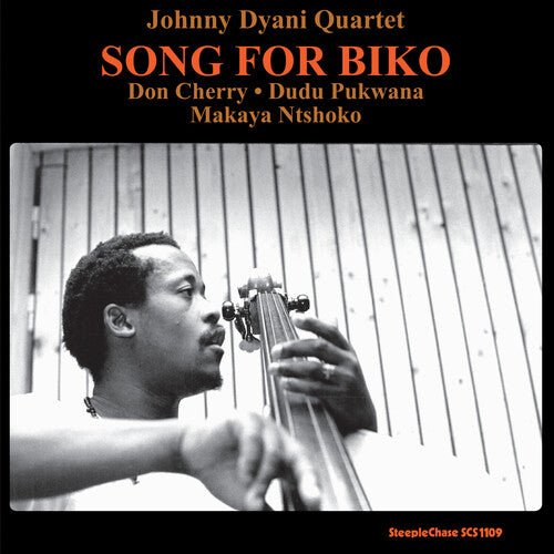 DYANI,JOHNNY - SONG FOR BIKO - RECORD