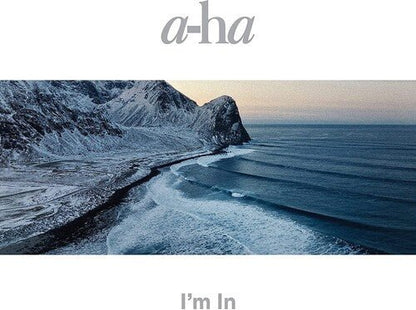 A-HA - TRUE NORTH - RECORD