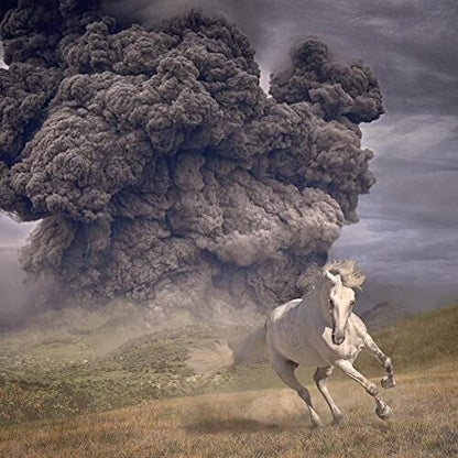 WHITE BUFFALO - YEAR OF THE DARK HORSE - RECORD