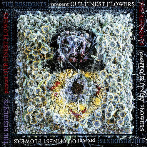 RESIDENTS - OUR FINEST FLOWERS - RECORD