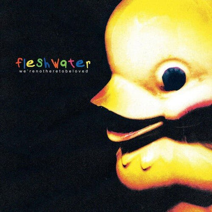 FLESHWATER - WE'RE NOT HERE TO BE LOVED - RECORD
