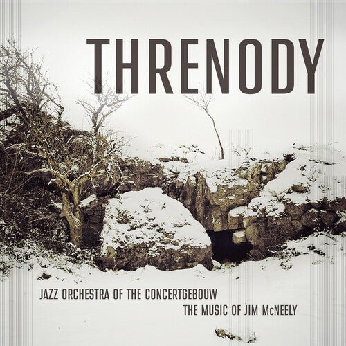 MCNEELY,JIM - THRENODY - RECORD
