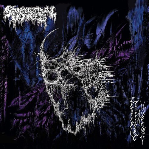 SPECTRAL VOICE - ERODED CORRIDORS OF UNBEING - RECORD