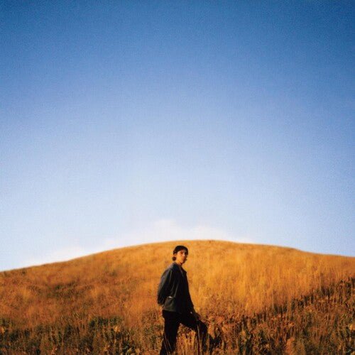 BURTON,SAM - DEAR DEPARTED - RECORD