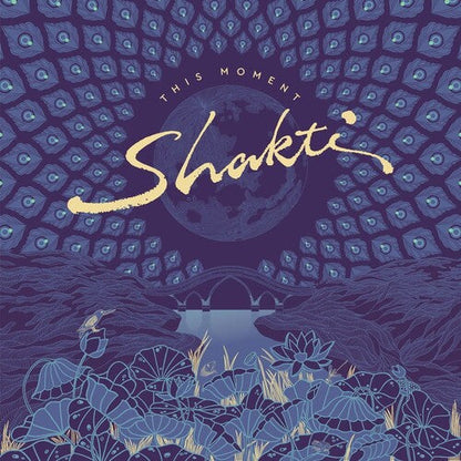 SHAKTI - THIS MOMENT - RECORD