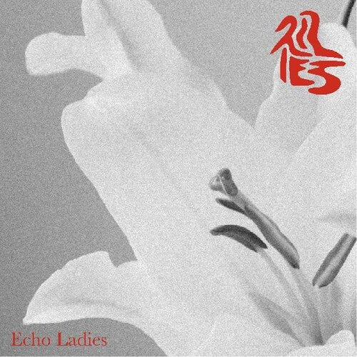 ECHO LADIES - LILIES - RECORD