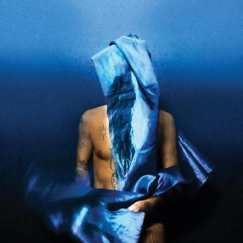 BANHART,DEVENDRA - FLYING WIG - RECORD