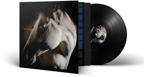 BROTHER DEGE - HOW TO KILL A HORSE - RECORD