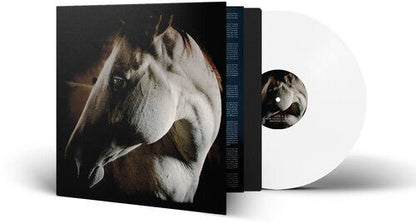 BROTHER DEGE - HOW TO KILL A HORSE - RECORD