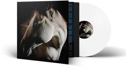 BROTHER DEGE - HOW TO KILL A HORSE - RECORD