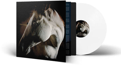 BROTHER DEGE - HOW TO KILL A HORSE - RECORD