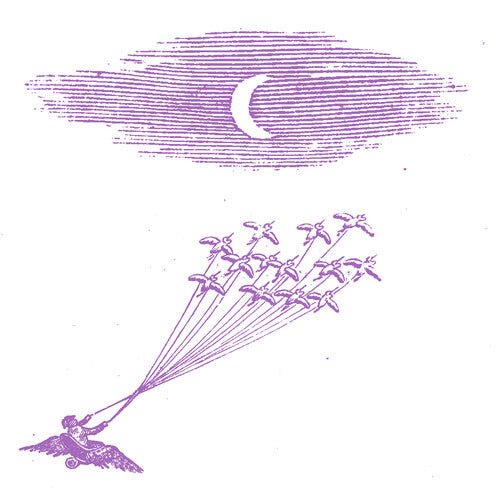 FEELING FIGURES - MIGRATION MAGIC - RECORD