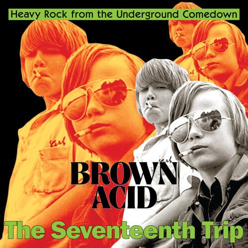 BROWN ACID - THE SEVENTEENTH TRIP / VARIOUS - RECORD