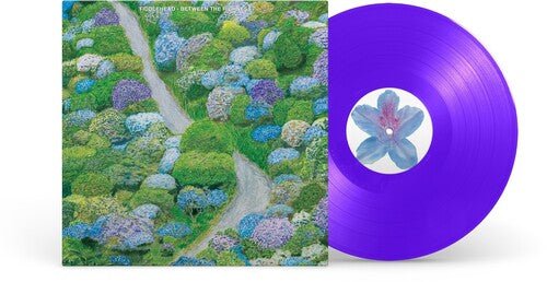 FIDDLEHEAD - BETWEEN THE RICHNESS - VIOLET - RECORD