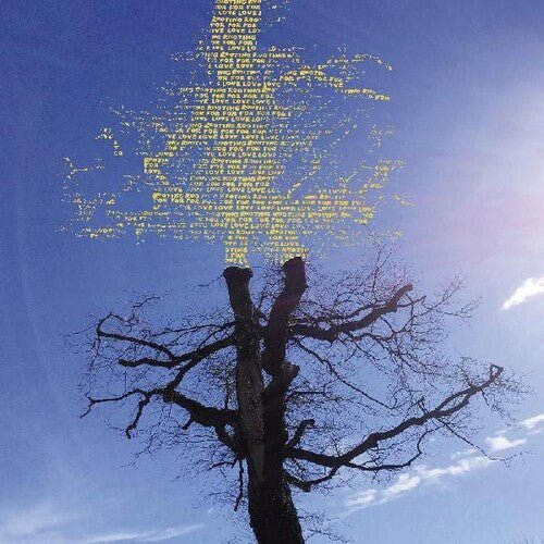 SADIER,LAETITIA - ROOTING FOR LOVE - RECORD