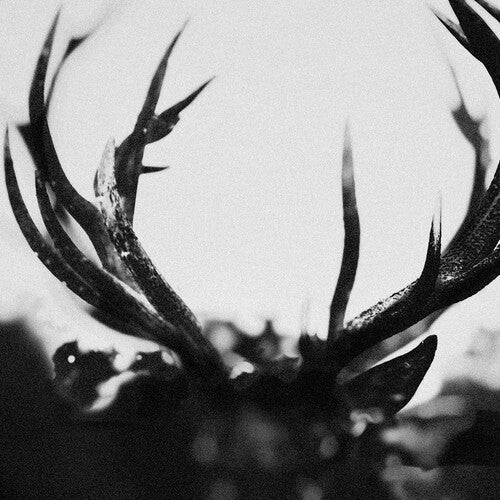 IHSAHN - IHSAHN - BLACK YOLK - RECORD