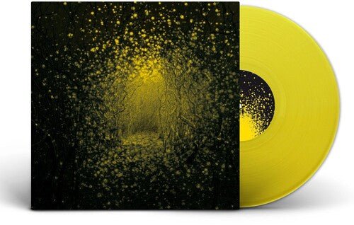 ANTLERS - BURST APART - RECORD