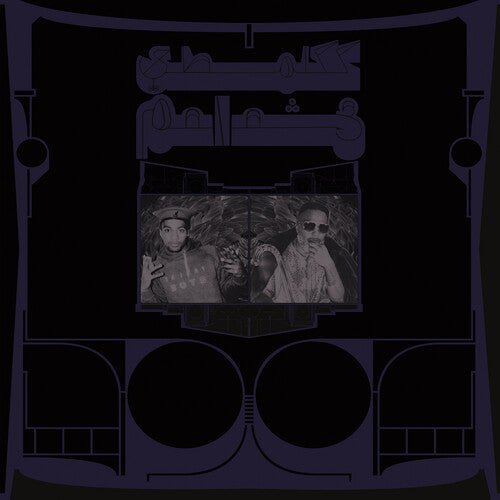 SHABAZZ PALACES - EXOTIC BIRDS OF PREY - TRANSLUCENT WHITE - RECORD
