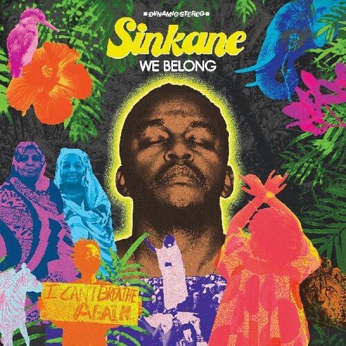 SINKANE - WE BELONG - RECORD