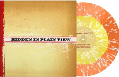 HIDDEN IN PLAIN VIEW - RECORD