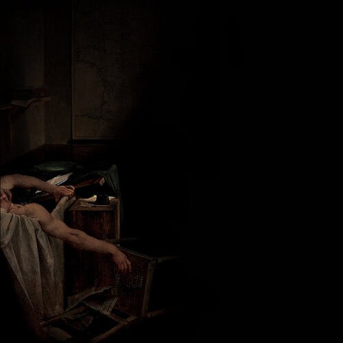 HAVE A NICE LIFE - VOIDS - RECORD