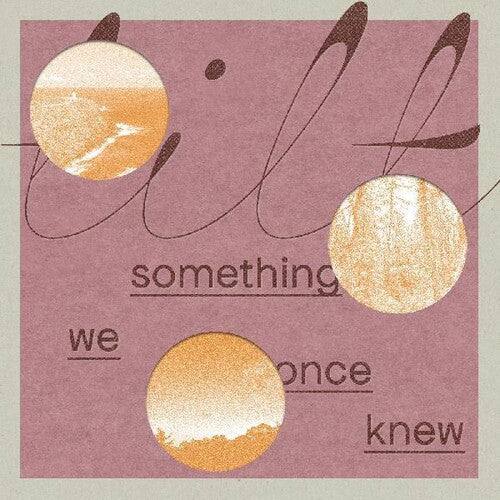 TILT - SOMETHING WE ONCE KNEW - RECORD
