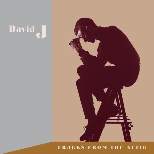 DAVID J - TRACKS FROM THE ATTIC - RECORD
