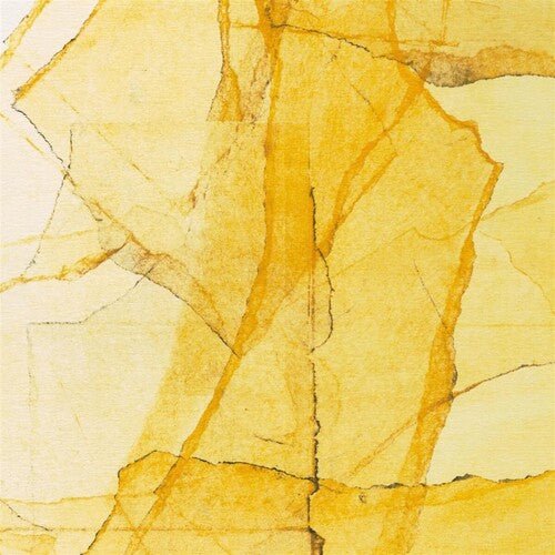SMITH,WADADA LEO / MYAERS,AMINA CLAUDINE - CENTRAL PARKS MOSAIC OF RESERVOIR, LAKE, PATHS AND - RECORD