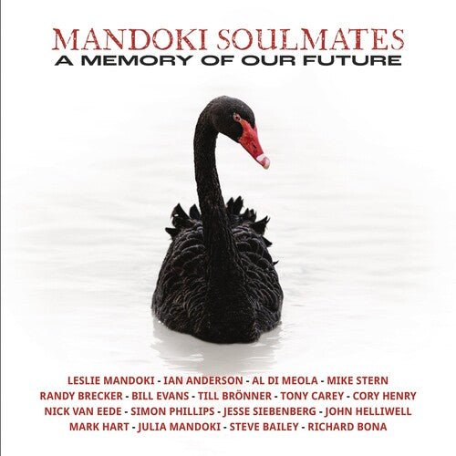 MANDOKI SOULMATES - MEMORY OF OUR FUTURE - RECORD