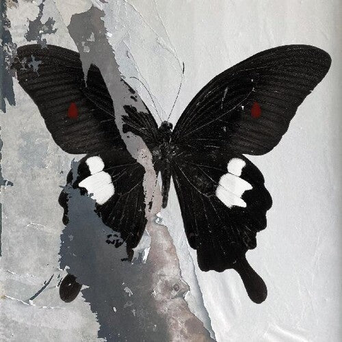 DEATH CULT - PARADISE NOW - RECORD